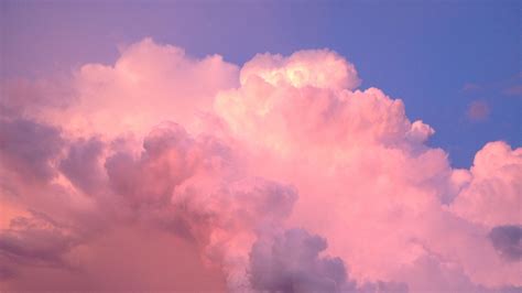 Розовое облако
 2024.04.20 08:00